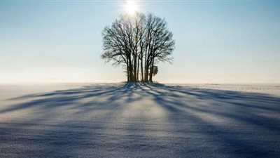 7 فئات يظلهم الله يوم القيامة.. منهم فئة لن تخطر ببالك