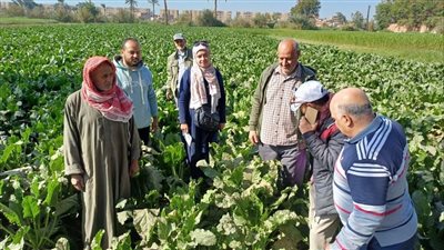 حصاد أنشطة مبادرة المراكز الإرشادية الزراعية خلال النصف الأول من شهر ديسمبر 2024