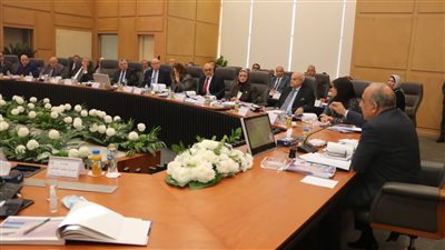 عصمت: دعم وتطوير وتحديث شبكة نقل الكهرباء لاستيعاب القدرات المضافة من الطاقات المتجددة