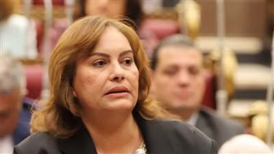 برلمانية: جهود مصر الدبلوماسية تجاه حل قضايا المنطقة يعزز مكانتها للاستقرار الإقليمي 