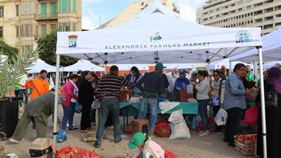 ننشر أماكن أسوق اليوم الواحد في الإسكندرية 