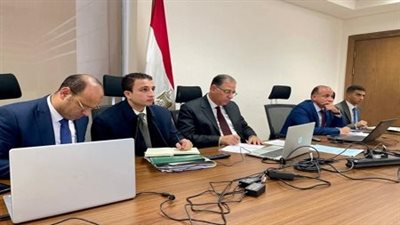 وزير الخارجية والهجرة يعقد لقاء افتراضياً مع أعضاء الجالية المصرية في أستراليا