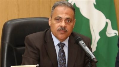 الأشموني: الشرقية بكامل أجهزتها حريصة على تحقيق مطالب المستثمرين وحل مشاكلهم 