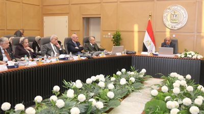 وزير الكهرباء: التشغيل الاقتصادي للمنظومة وتحسين معدلات الأداء ضمن أهداف خطة العمل الحالية