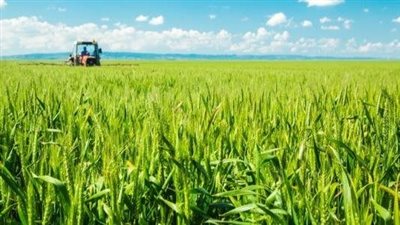 الإحصاء: زيادة 1.5% في إجمالي المساحة المنزرعة بمصر لعام 2022/2023