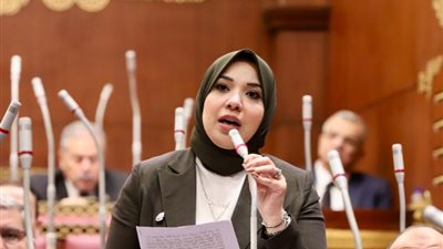 النائبة دينا هلالي: حديث السيسي عن ظاهرة الشائعات تكشف خطورة الظاهرة  