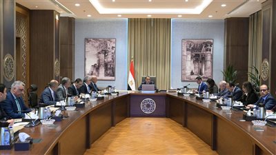 مدبولي يستعرض مقترح الهيكل التنظيمي لمنطقة 