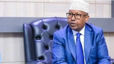 وزير الخارجية الصومالي: مصر كان لها دور مشرف في الوقوف إلى جانب بلدنا