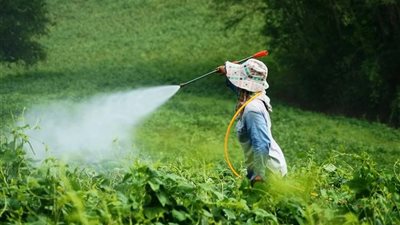 ابتكار خارق.. تطوير تقنية جديدة لاكتشاف بقايا المبيدات في الأطعمة