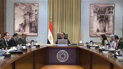 رئيس الوزراء يُتابع تنفيذ لعدد من مشروعات قطاع الكهرباء    