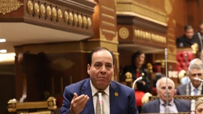 أبو النصر: قرار الرئيس بالعفو عن 54 من أبناء سيناء يعزز وحدة الصف الوطني