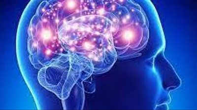 دراسة تكشف أقصى سرعة يعمل بها الدماغ البشري 
