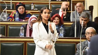 إيلاريا حارص: العفو عن أبناء سيناء يعكس حرص الرئيس على تكريم دورهم الوطني