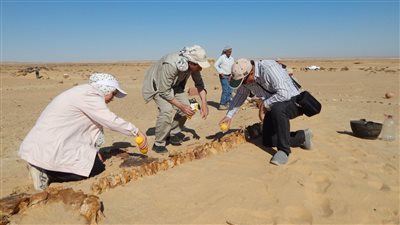 تنفيذ 3 مشروعات رائدة لتطوير محمية قارون والدبابية بمحافظتي الفيوم والأقصر