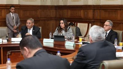 التنمية المحلية تطرح رؤيتها للتعامل مع ظاهرة انتشار الحيوانات الضالة بالمحافظات