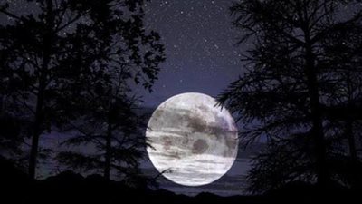 صلاة هى الأفضل بعد الفرائض.. لا تتركها كل يوم