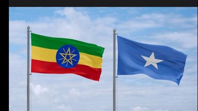 الصومال وإثيوبيا يبحثان عملية التسوية السلمية