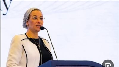 حصاد 2024.. جهود وزارة البيئة للتصدى للكوارث والأزمات