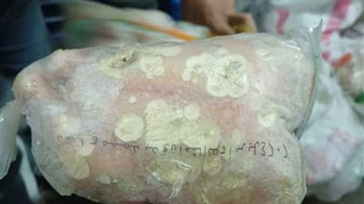 قبل بيعها للمواطنين.. ضبط 390 كيلو لحوم فاسدة بأسواق الاسكندرية