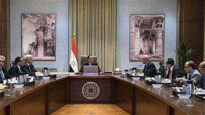 الحكومة تدرس مقترحات لتحقيق الانضباط للجان الثانوية العامة والسيطرة على الغش والتسريبات