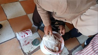 تحرير 223 محضرا وضبط سلع ومواد غذائية فاسدة في حملات تموينية بالدقهلية 