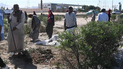  تكريم 65 طالبًا وطالبة قاموا بتجميل مدخل مدينة قنا الغربي 