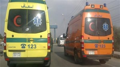 شاب يقتل والده في ظروف غامضة