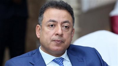 الجالية المصرية في النرويج تدعم القيادة السياسية لحماية الأمن القومي