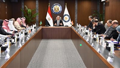 تعاون مصري سعودي للاستفادة من خبرات المملكة في تحسين كفاءة استهلاك الطاقة