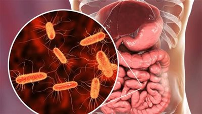 هل تؤثر ميكروبات الأمعاء على مناعة الجهاز التنفسي؟.. دراسة تجيب