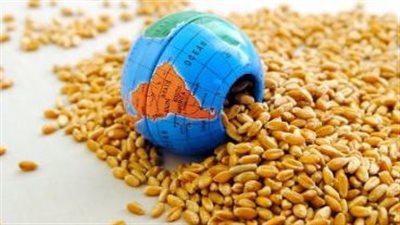 الزراعة المستدامة.. مفتاح لتحقيق الأمن الغذائي