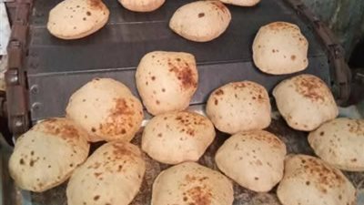 تحرير 351 محضر تمويني.. وضبط 5 طن نخالة مجهولة المصدر بالمنوفية 