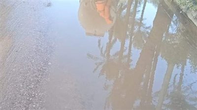 أجواء شديدة البرودة وسقوط أمطار في الشرقية 