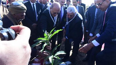 وزير التعليم العالي ورئيس جامعة سوهاج يشاركان في زراعة 60 شجرة مثمرة