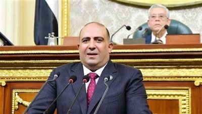 وكيل إفريقية النواب يثمن الاهتمام الرئاسي لتعزيز دور القطاع الخاص في مختلف المجالات