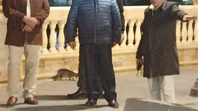 محافظ الدقهلية يوجه بزيادة صناديق القمامة بالممشى الجديد 