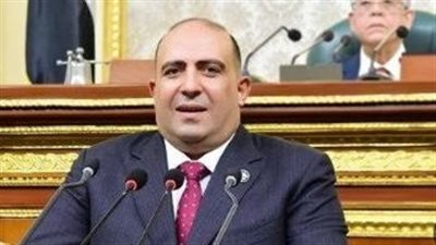 وكيل إفريقية النواب يثمن وعي ونجاح المصريين في مواجهة حرب الشائعات 