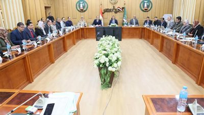 محافظ المنوفية يهنئ المواطنين بحلول العام الميلادي الجديد