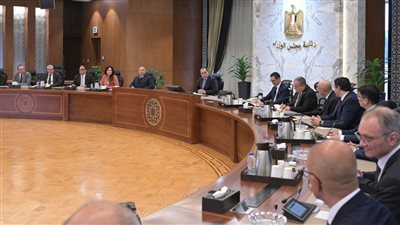 مسئولو شركة المنصور: خطة لزيادة الطاقة الإنتاجية لـ100 ألف سيارة عام 2026