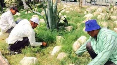 حدائق الدقهلية تتجمل لاستقبال زائريها باحتفالات عيد الميلاد