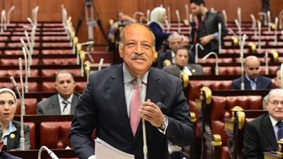 نائب: مبادرة الـ 30 مليار جنيه تعكس حجم الدعم والمساندة الحقيقية للصناعة الوطنية