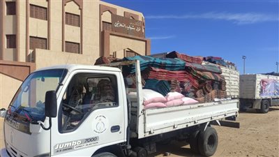 جامعة جنوب الوادي تجهز قافلة شاملة إلى حلاليب وشلاتين 