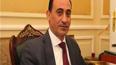 نائب: الدولة تقوم بجهود كبيرة لدعم مشاركة القطاع الخاص في بناء الاقتصاد 