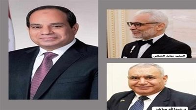 الرئيس السيسى يهنىء الجالية المصرية في رومانيا بمناسبة بدء العام الجديد 2025