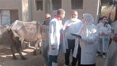 محافظ الفيوم يستعرض جهود وأنشطة مديرية الطب البيطري خلال عام 2024