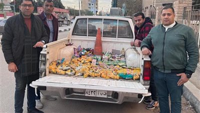 ضبط 292 قطعة سلع غذائية منتهية الصلاحية بالفيوم 