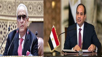 وكيل الشيوخ يهني السيسي بالعام الميلادي ..نجدد العهد لمواجهة التحديات التي تواجه الوطن