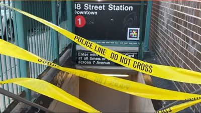 لحظة دفع رجل إلى قضبان مترو الأنفاق في نيويورك (صور)