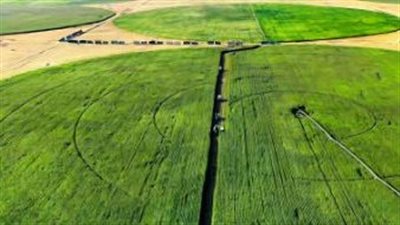 خريطة طريق لتحقيق الأمن الغذائي.. استراتيجية مصر الزراعية خطوة بخطوة