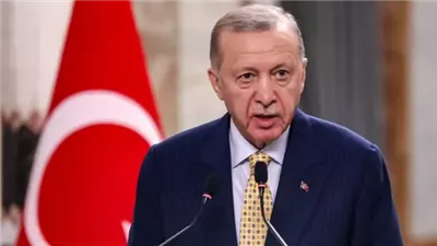 أردوغان: يجب على المجتمع الدولي مراقبة تنفيذ اتفاق وقف إطلاق النار 